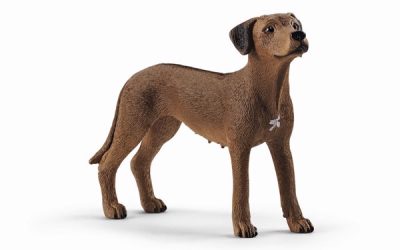 Schleich Rhodesian Ridgeback – Schleich