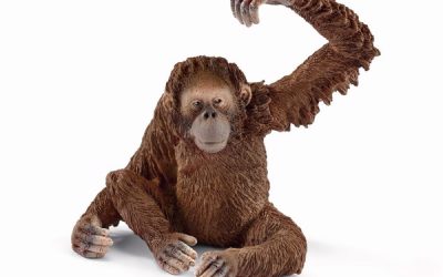 Schleich Orangutang, hun – Schleich