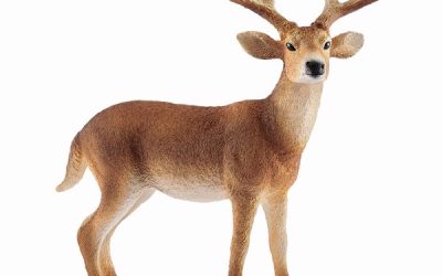 Schleich White-Tailed Buck – Schleich