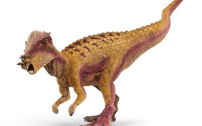 Schleich Pachycephalosaurus – Schleich