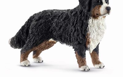 Schleich Bernasenne hund, hun – Schleich