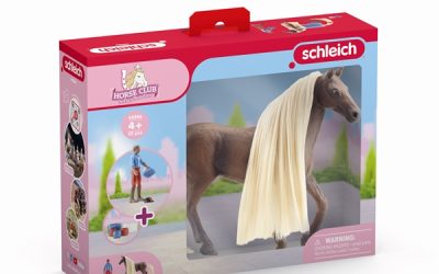 Schleich SB Starter Set – Leo & Rocky – Schleich